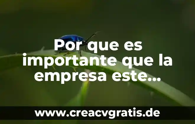Agua limpia y saneamiento que es 3 Por que es importante que la empresa este limpia