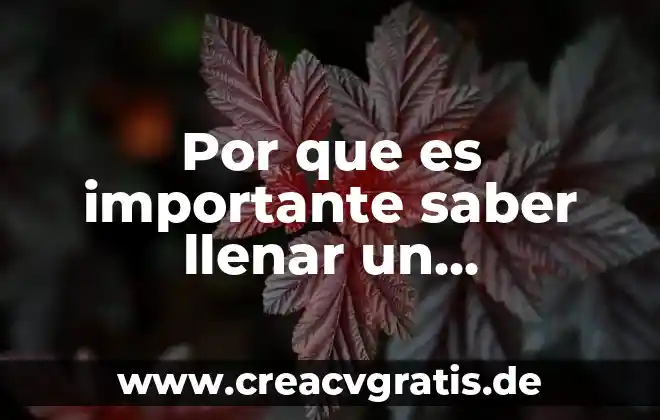 Por qué es importante el arrendamiento en una empresa 7 Por que es importante saber llenar un formulario