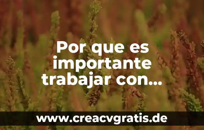 Que es trabajar con la santa muerte 4 Por que es importante trabajar con masculinidades