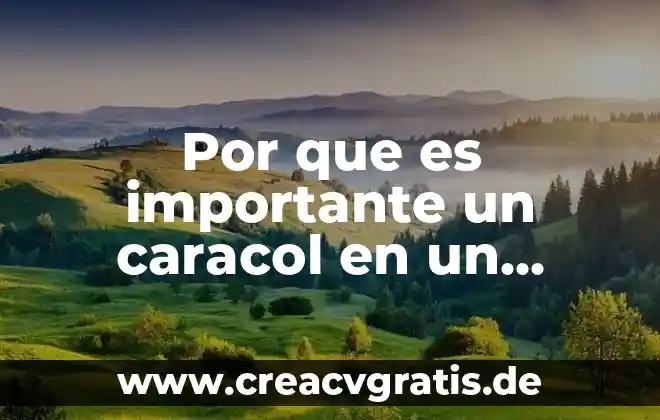 Que es un ecosistema y menciona los tipos 3 Por que es importante un caracol en un ecosistema