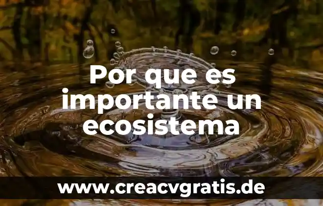 Que es un ecosistema y menciona los tipos 4 Por que es importante un ecosistema