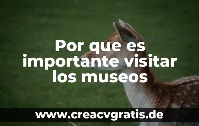 Qué es el número cetano 6 Por que es importante visitar los museos