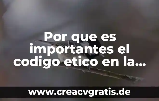 Que es un valor etico segun la rea 6 Por que es importantes el codigo etico en la contabilidad