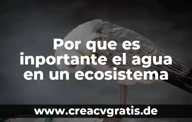 Que es bronquitis asmatiforme aguda y agua en los pulmones 4 Por que es inportante el agua en un ecosistema