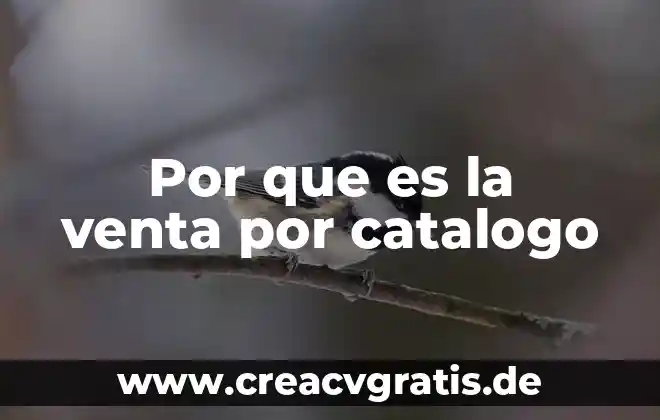 Que es catalogo de cuentas departamentales 5 Por que es la venta por catalogo