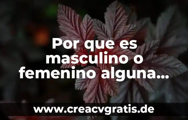 Que es el significa de la palabra racismo 3 Por que es masculino o femenino alguna palabra