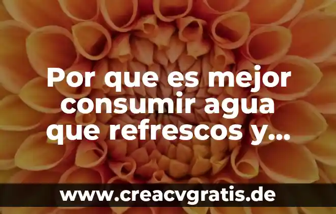 Almacenamiento de agua en cisternas de ferrocemento artesanal que es 4 Por que es mejor consumir agua que refrescos y jugos