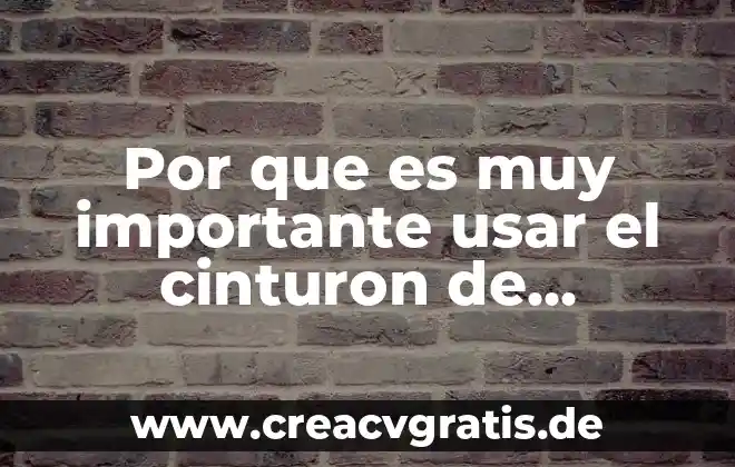 Que es el sol es el cinturon de asteroides 3 Por que es muy importante usar el cinturon de seguridad