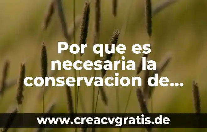 Para que es importante el agua en los alimentos 3 Por que es necesaria la conservacion de alimentos
