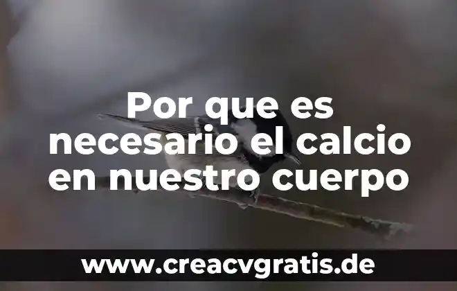 Que es el cuerpo de mensaje 6 Por que es necesario el calcio en nuestro cuerpo