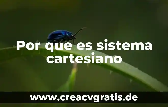 Que significa que es un sistema compatible 5 Por que es sistema cartesiano