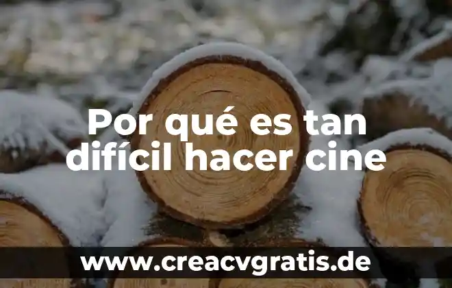 Por que es dificil poner limites a los niños 6 Por qué es tan difícil hacer cine