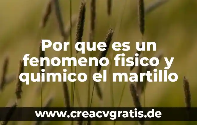 ¿Qué es el reloj químico de yodo? 5 Por que es un fenomeno fisico y quimico el martillo