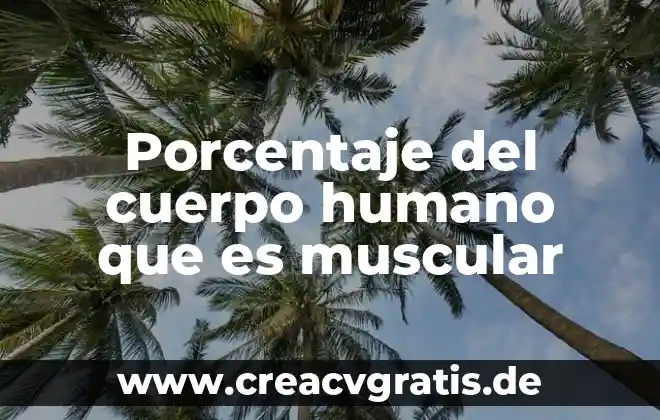 Que es una lesion muscular y que tipos existen 5 Porcentaje del cuerpo humano que es muscular