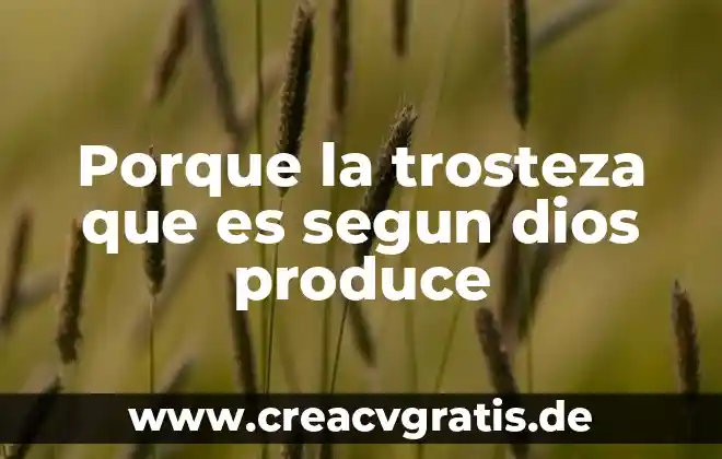Porque pues la verdad que es un texto 4 Porque la trosteza que es segun dios produce