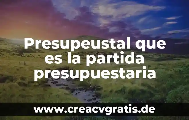 Qué es el tiempo y sus tipos 7 Presupeustal que es la partida presupuestaria