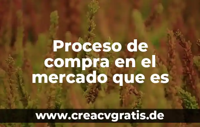 Que es emisi贸n de bonos en el mercado de capitales 3 Proceso de compra en el mercado que es
