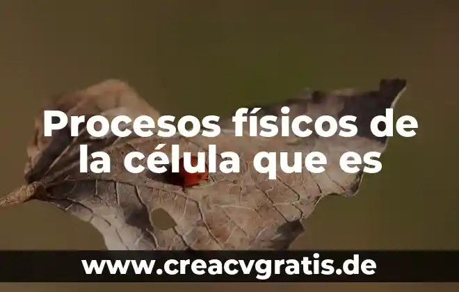 Qué es la lisosoma de la célula animal 4 Procesos físicos de la célula que es