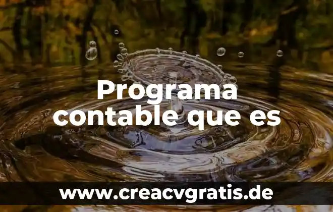 Qué es una póliza contable y sus tipos 8 Programa contable que es