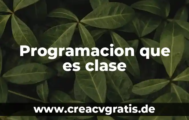 Qué es el concepto canon 5 Programacion que es clase