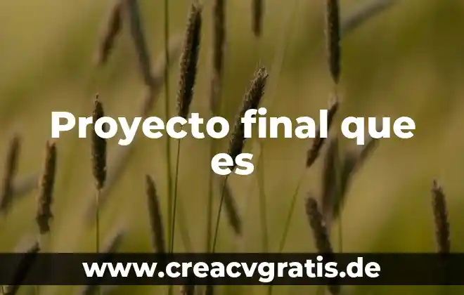 Que es un informe final de un proyecto 3 Proyecto final que es