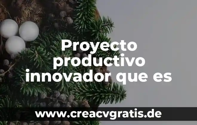 Que es un proyecto innovador y sus caracteristicas 4 Proyecto productivo innovador que es