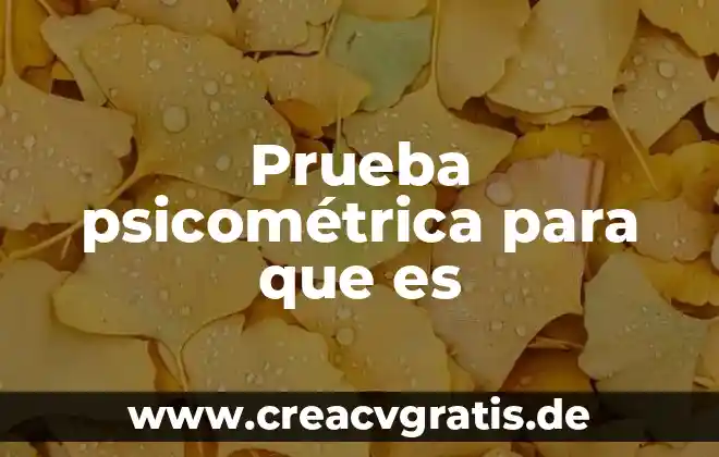 Ejemplo explicar que es la validación psicométrica 3 Prueba psicométrica para que es