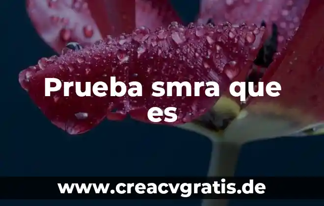 Prueba íloto que es 5 Prueba smra que es
