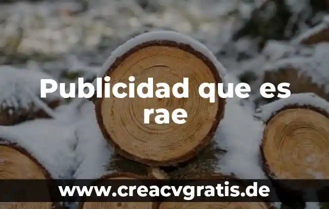 Qué es la comunicación y la publicidad 4 Publicidad que es rae