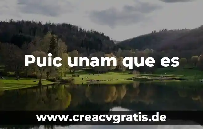 Que es el razonamiento por autores de la unam 8 Puic unam que es