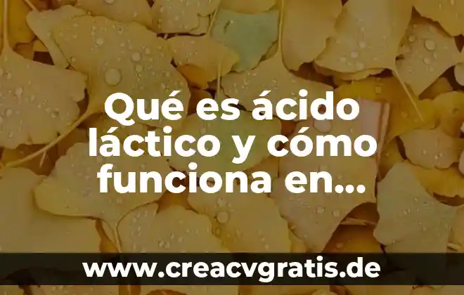 ¿Qué es el ácido clorhídrico compuesto o mezcla? 6 Qué es ácido láctico y cómo funciona en nuestro organismo