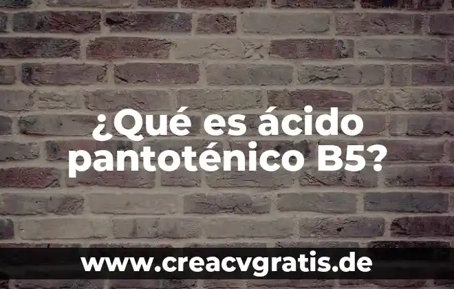 Qué es un ácido y por qué recibe ese nombre 5 ¿Qué es ácido pantoténico B5?