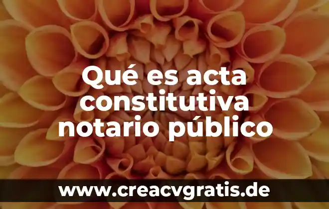 Qué es un número de notario 5 Qué es acta constitutiva notario público