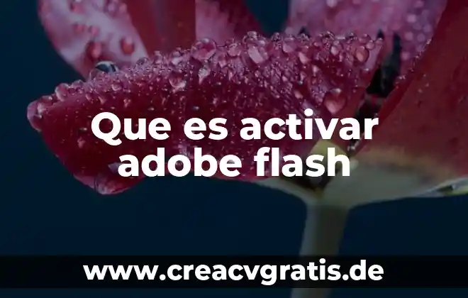 Que es activar el modo brige 5 Que es activar adobe flash