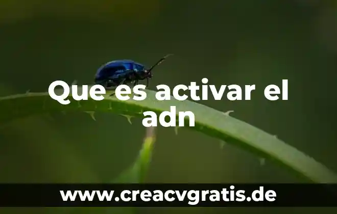 Que es activar el modo brige 4 Que es activar el adn