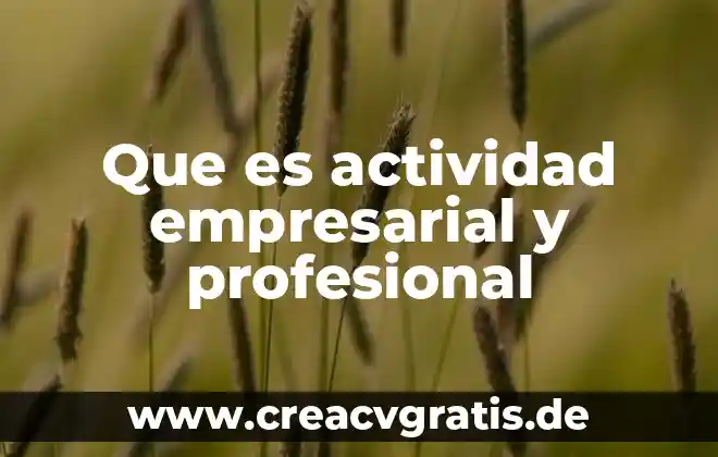 Que es perfil profesional y objetivo laboral 3 Que es actividad empresarial y profesional