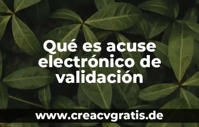 Que es un acuse en derecho de rfc 5 Qué es acuse electrónico de validación