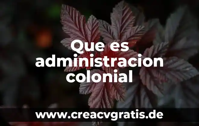Que es un organismo colonial 3 Que es administracion colonial