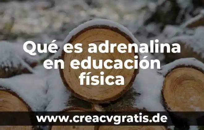 Qué es educación física y su significado 7 Qué es adrenalina en educación física