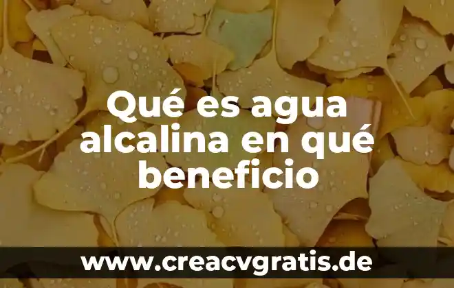 Beneficio del mismo sistema que es 8 Qué es agua alcalina en qué beneficio