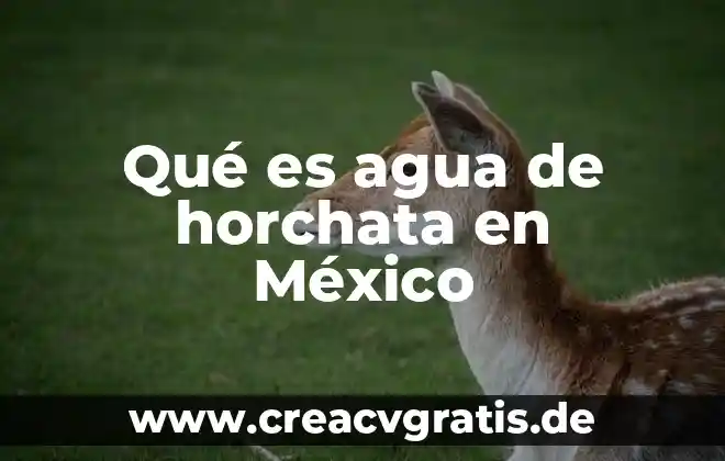 Que es el juicio de social caracteristicas 8 Qué es agua de horchata en México