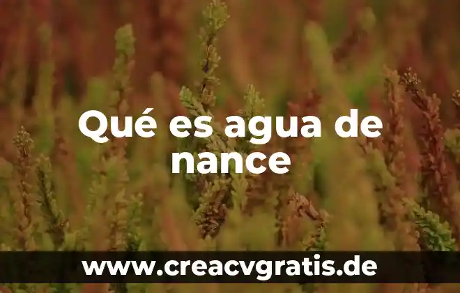 Que es el agua agua gravitacional 3 Qué es agua de nance