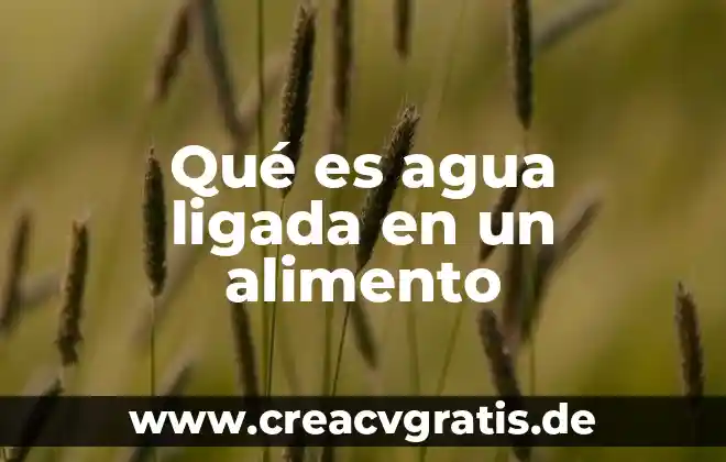 Qué es corte batonette 3 Qué es agua ligada en un alimento