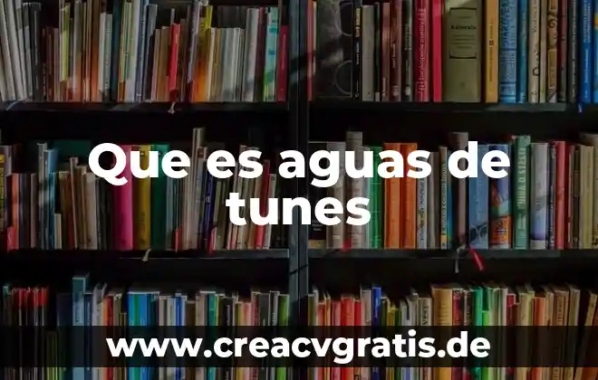 Qué es carcamo de aguas pluviales 8 Que es aguas de tunes