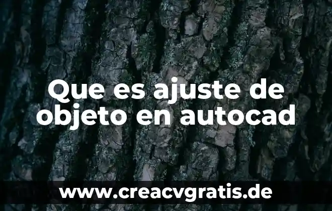 Que es objeto simple y compuesto 8 Que es ajuste de objeto en autocad