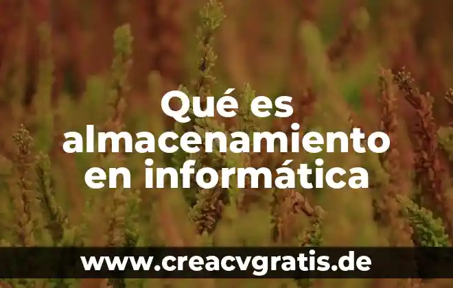 Almacenamiento de alimentos que es 7 Qué es almacenamiento en informática