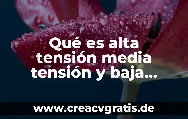 Que es la tension superficial del agua en quimica 8 Qué es alta tensión media tensión y baja tensión