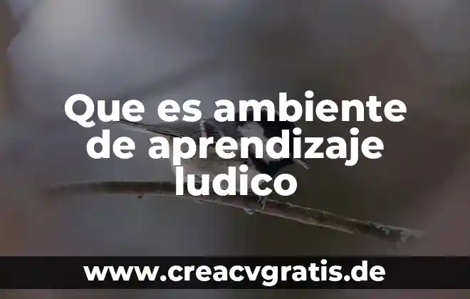 Que es el ambiente fisico psicologico social 3 Que es ambiente de aprendizaje ludico