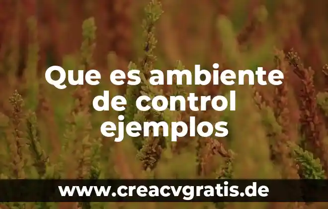 Que es el medio ambiente en un pais 6 Que es ambiente de control ejemplos