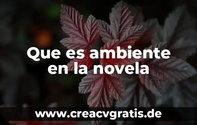 Que es el medio ambiente en un pais 3 Que es ambiente en la novela